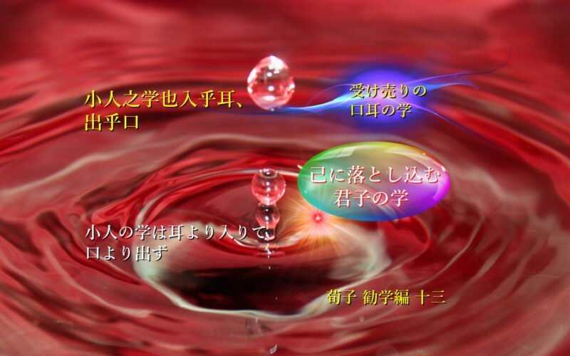 小人の学は耳より入りて口より出ず